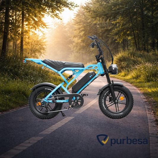 V20 pro - Mini Fatbike