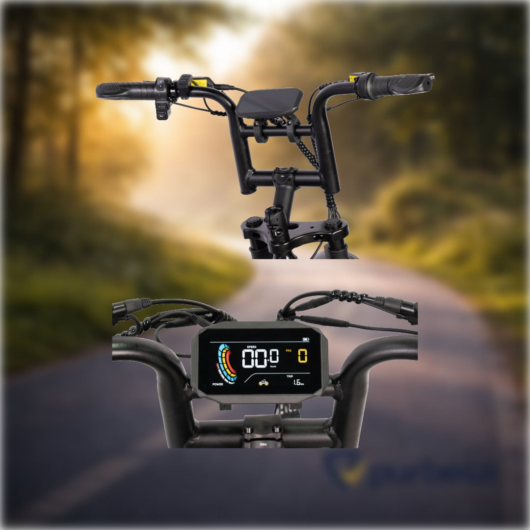 V20 pro - Mini Fatbike