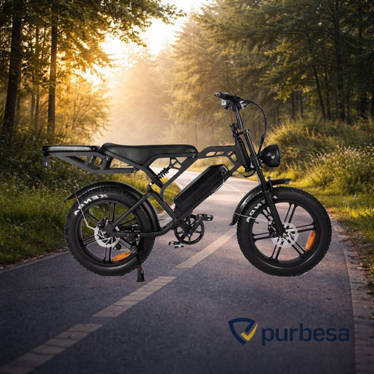 V20 pro Elektrische Fatbike