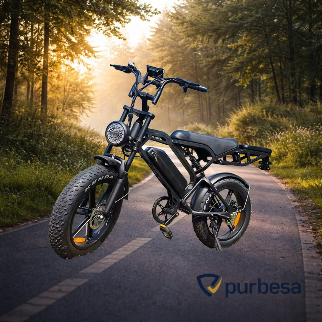 V20 pro Elektrische Fatbike