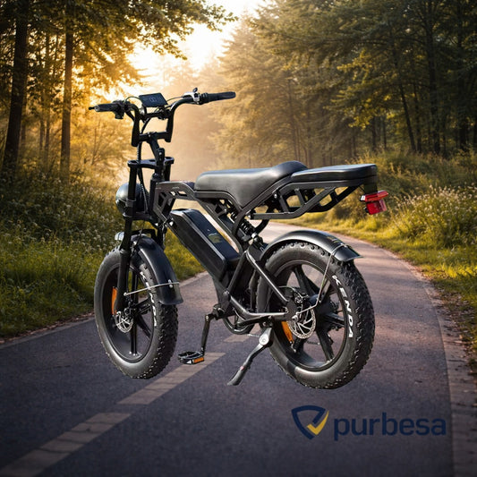 V20 pro Elektrische Fatbike