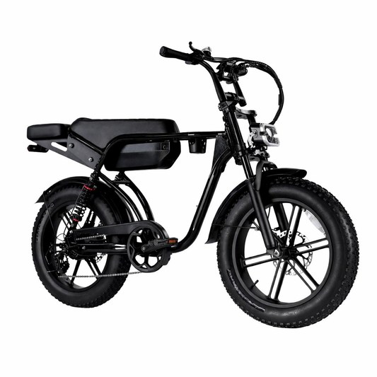 RSE Elektrische Fatbike