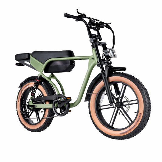 RSE Elektrische Fatbike