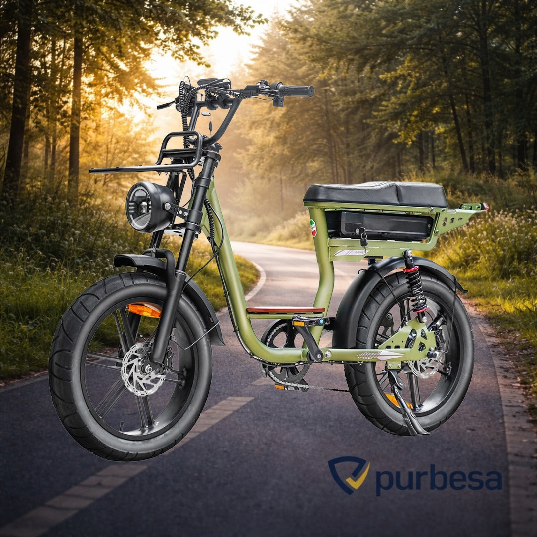 C28 Elektrische Fatbike