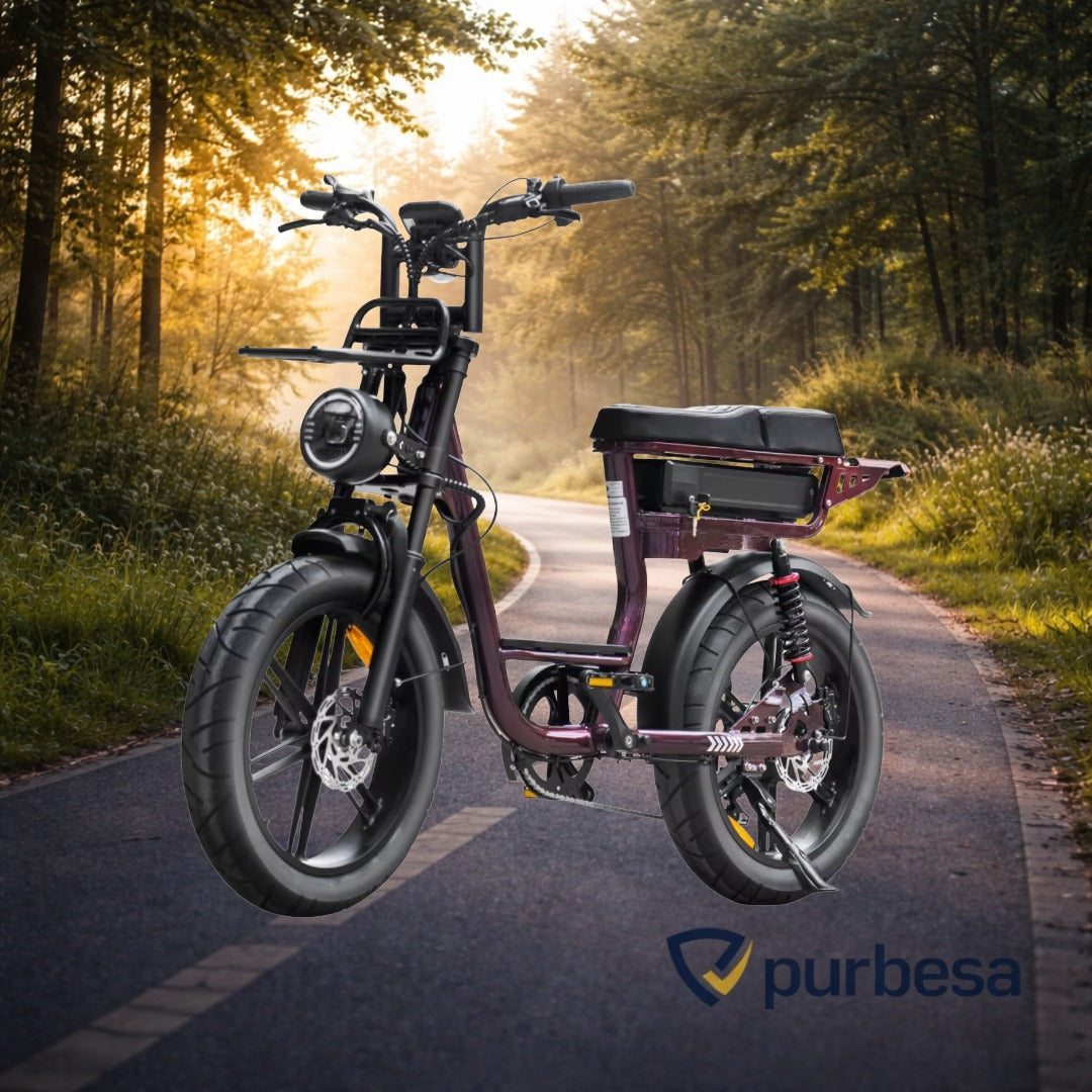 C28 Elektrische Fatbike