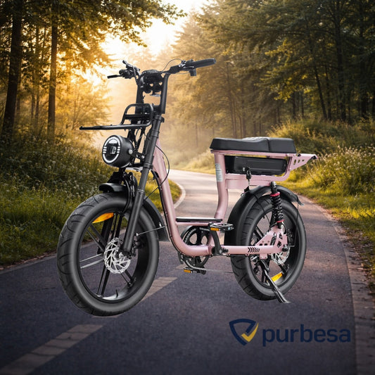 C28 Elektrische Fatbike