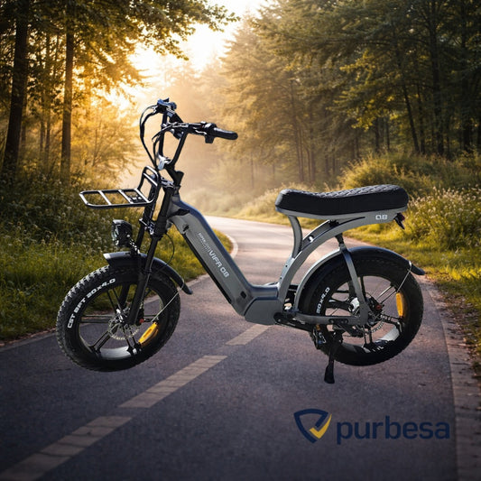 Q8 Elektrische Fatbike