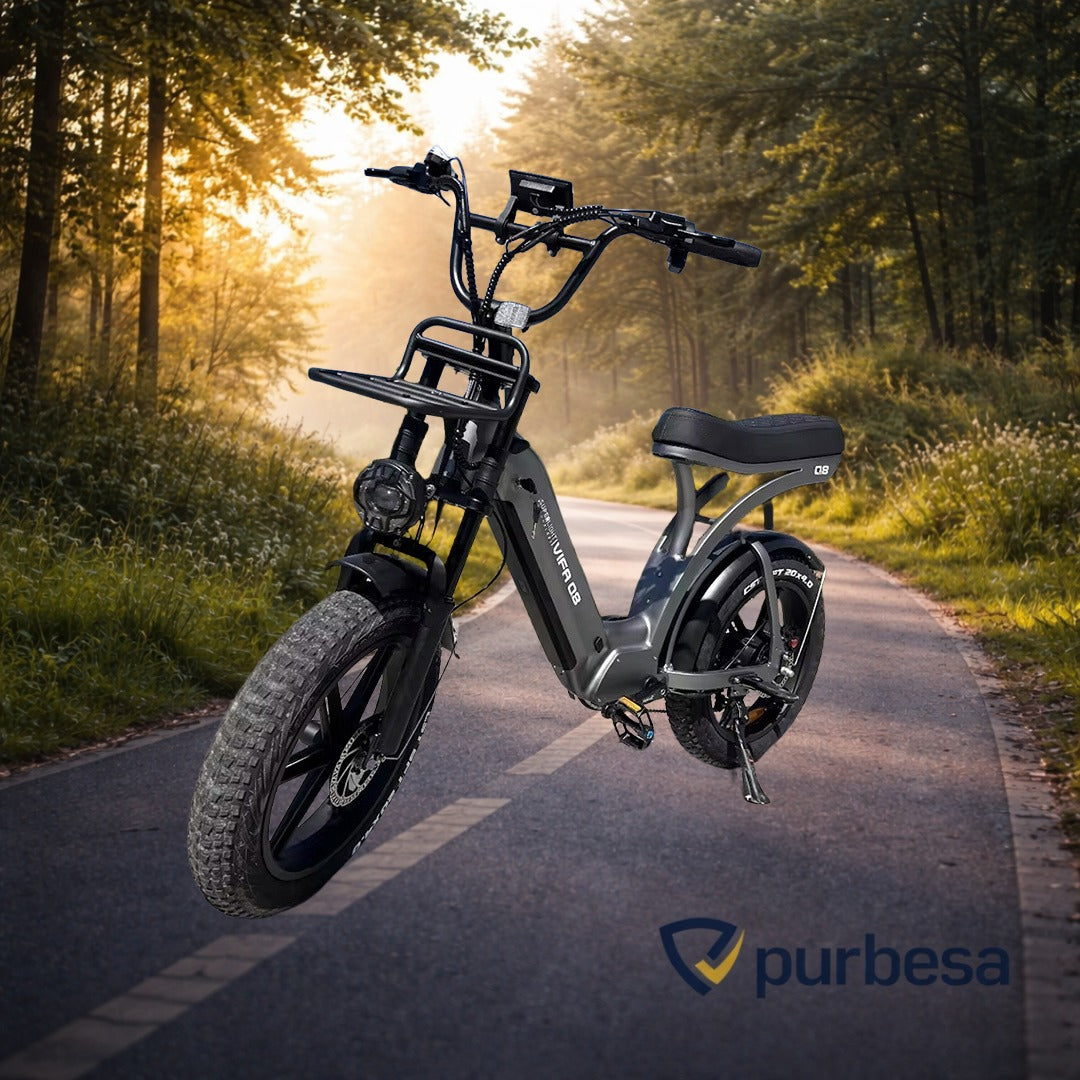 Q8 Elektrische Fatbike