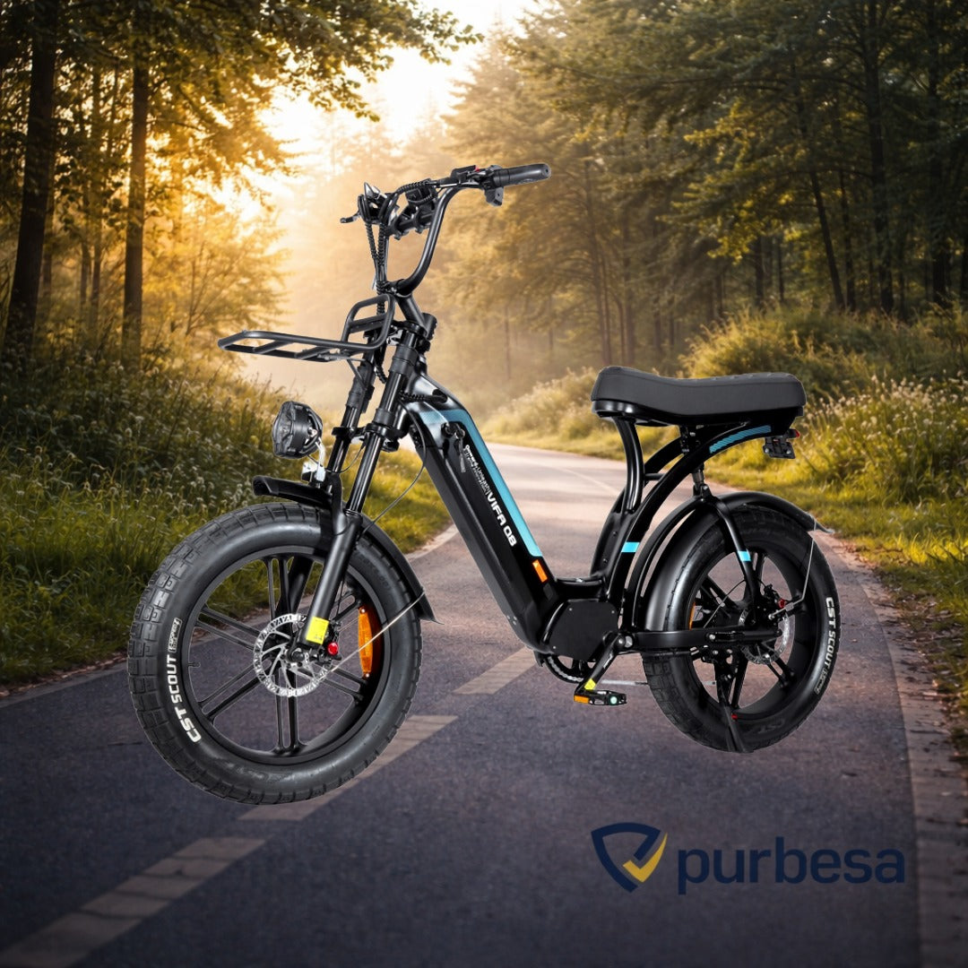 Q8 Elektrische Fatbike