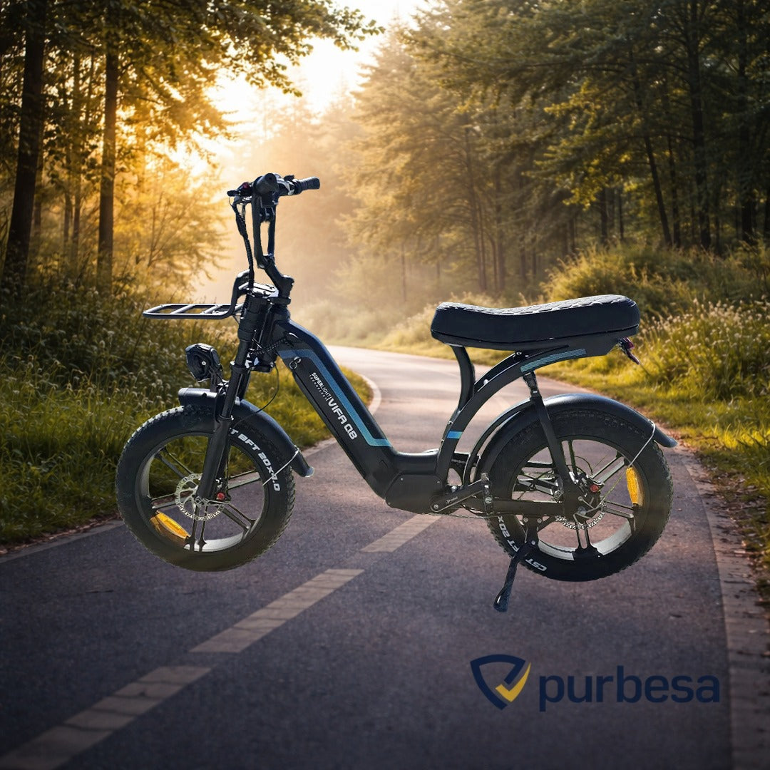 Q8 Elektrische Fatbike