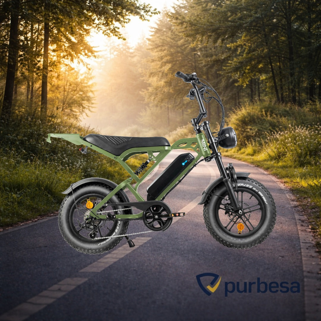 V20 pro - Mini Fatbike