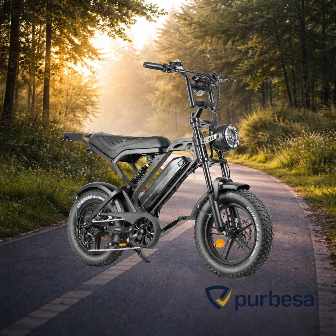 V20 pro - Mini Fatbike